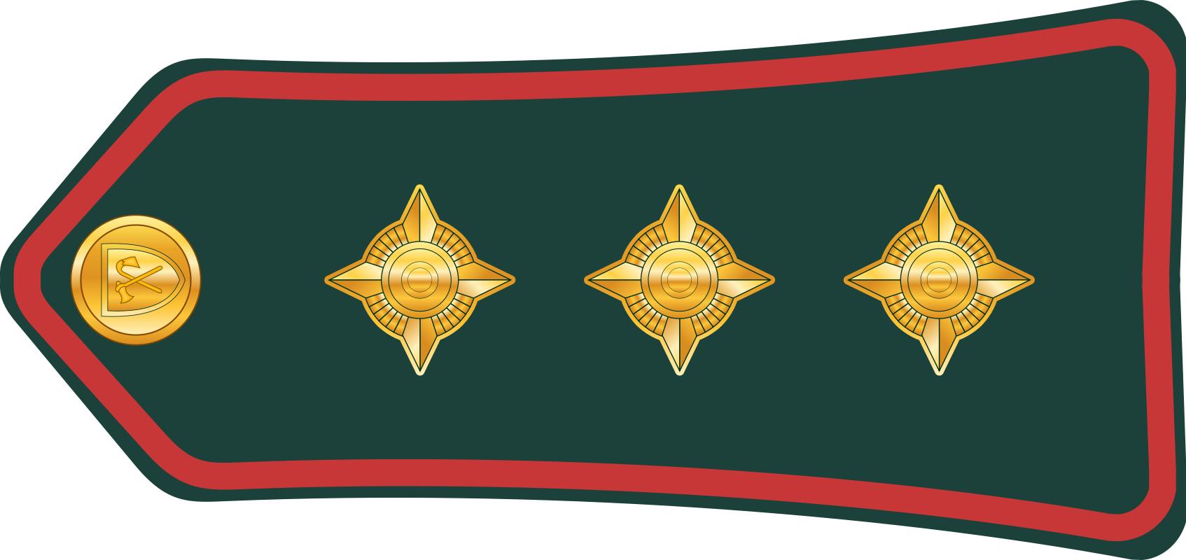 西亚各国军衔,各国军衔标识坦桑尼亚