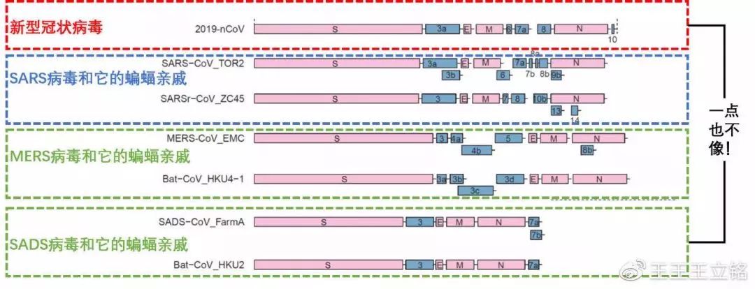 新型冠状病毒是谁传过来的,冠状病毒是科学家弄出来的吗