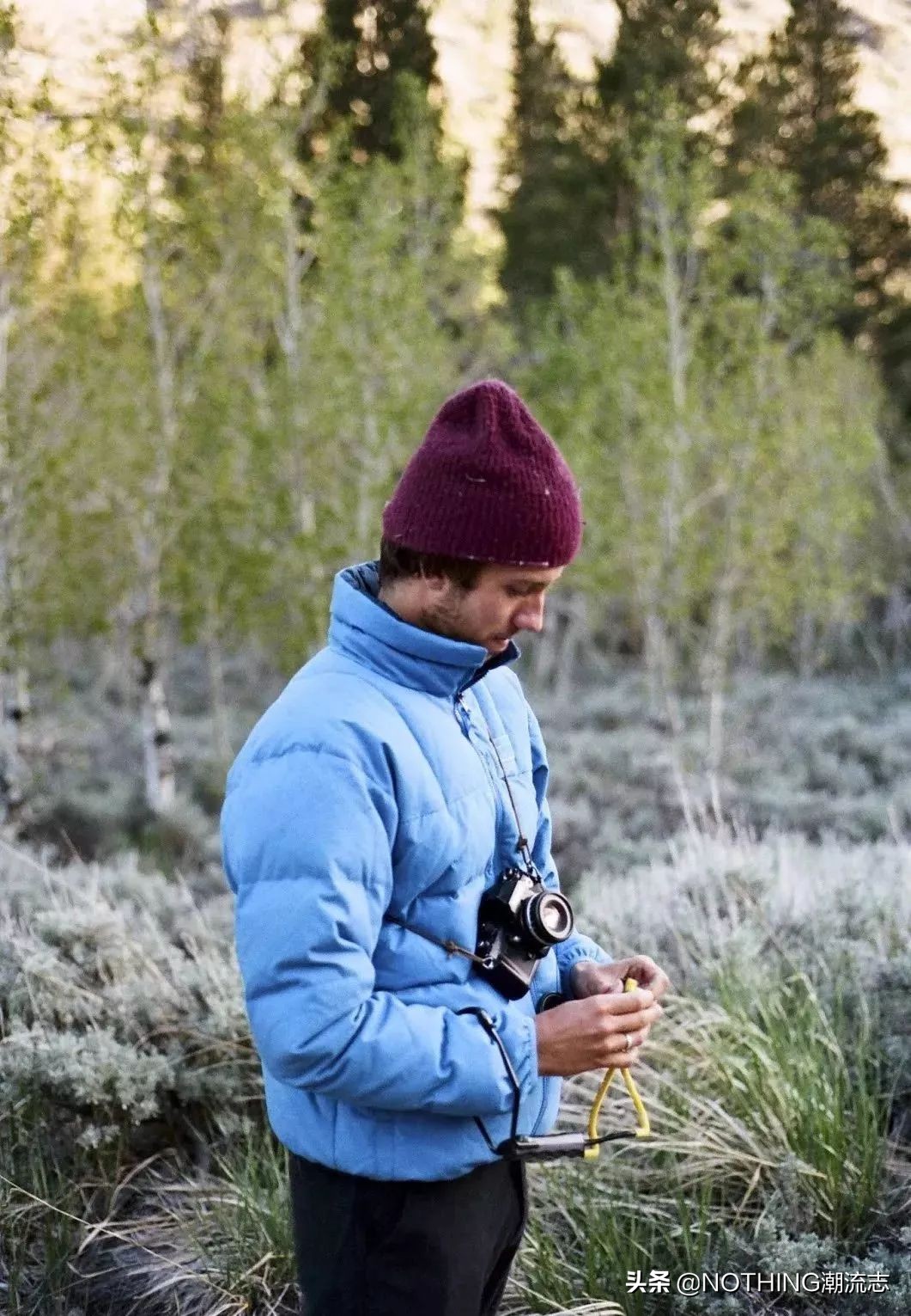 羽绒服鄙视榜加拿大品牌,羽绒服品牌有鄙视链吗知乎