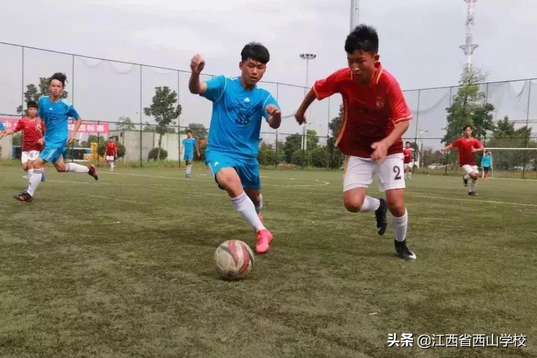 为什么家长选择好学校,为啥家长都爱选师范院校