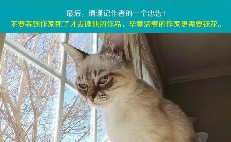 一日一书完整版在线阅读,一日一书全部内容