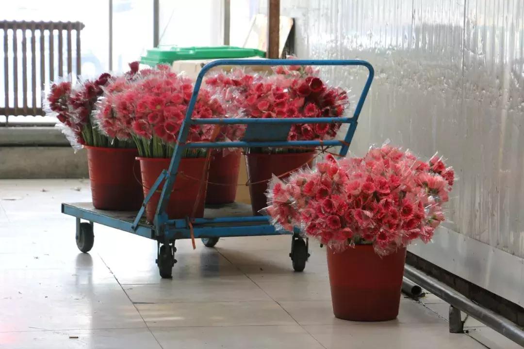 郑州三大花卉市场都是哪个,郑州哪个花卉市场最全