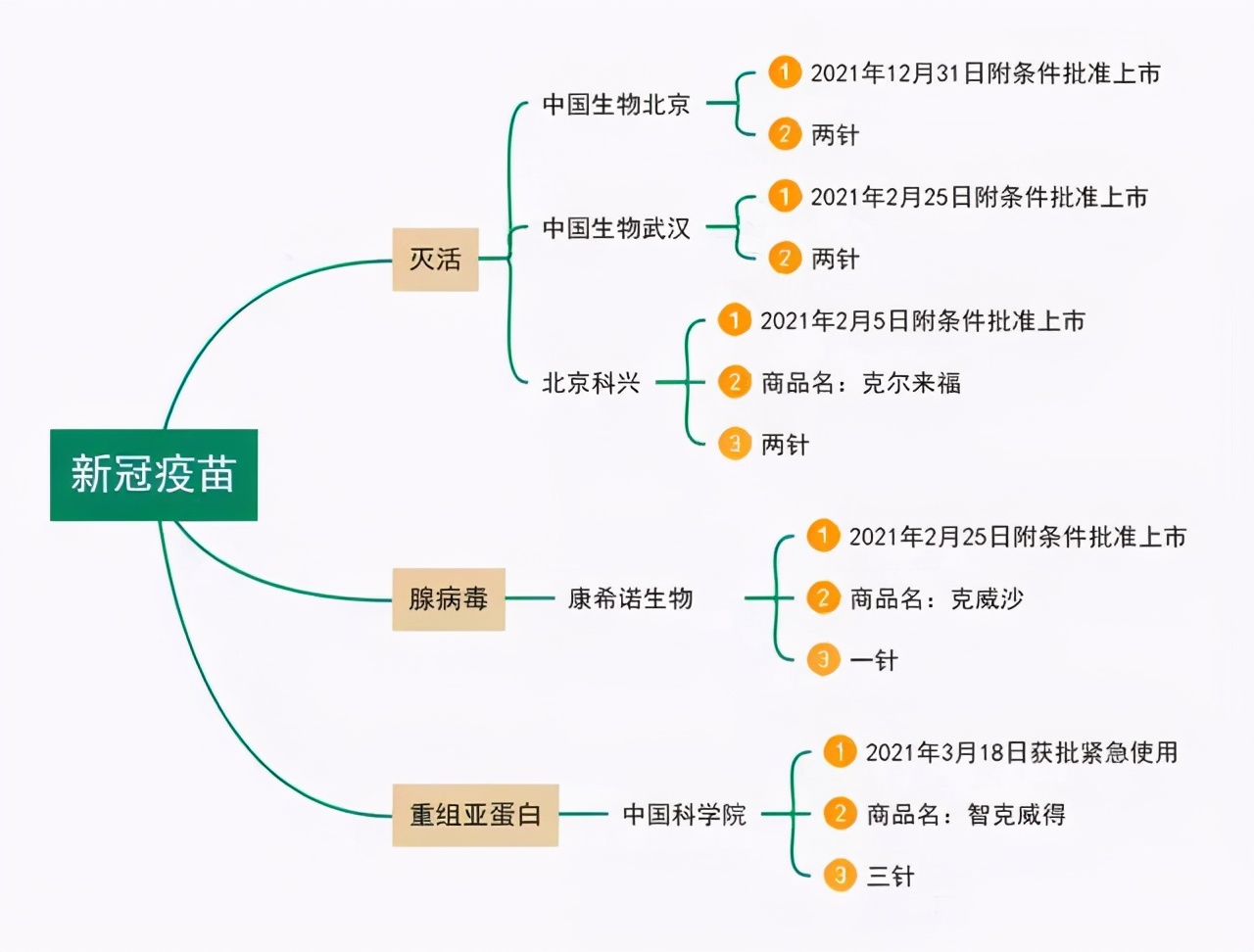 打新冠疫苗得新冠,打新冠疫苗是提高免疫力的吗