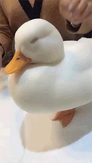 大吐槽：“快住手啊，他们说的3P不是这个意思”