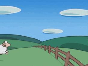 双十一种草有哪些,双十一种草特辑