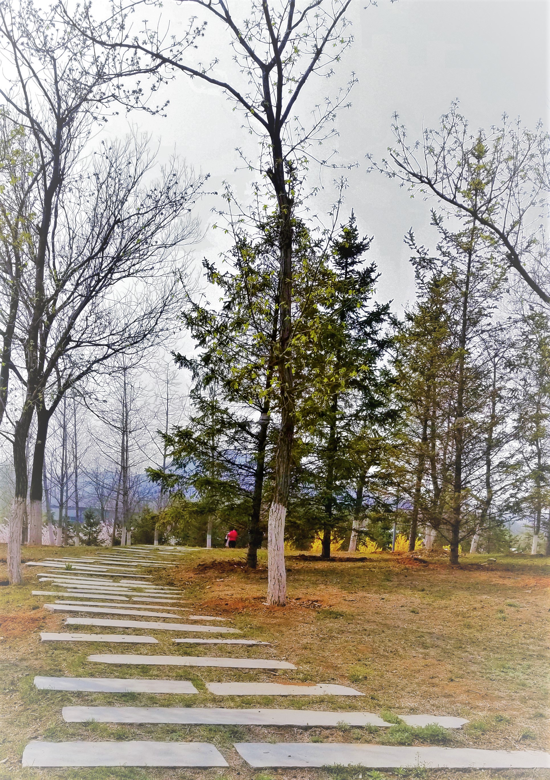 景美人少公园,景美人少适合去哪里旅游