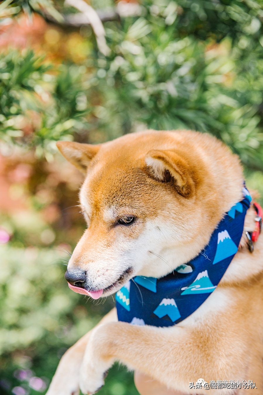 高考择校tips,高考择校指导985211