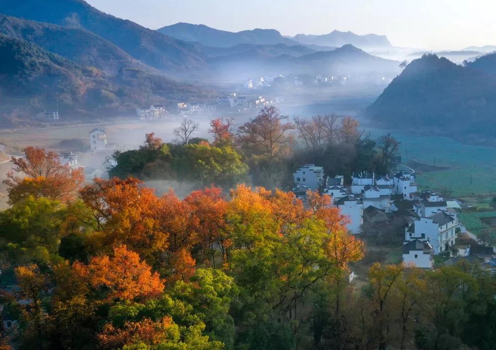 10月下旬徽州摄影推荐,金秋皖南婺源摄影之旅