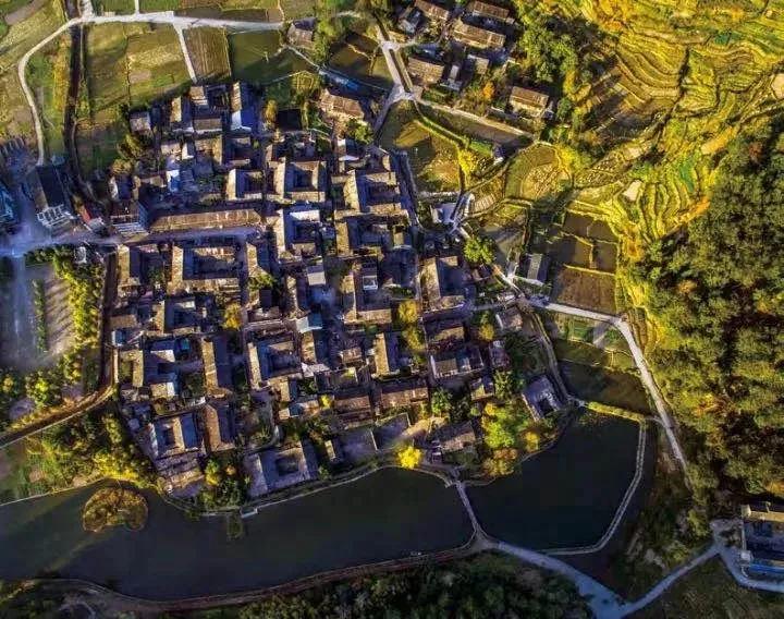 温州吃的有什么特色,温州有什么好吃的地方