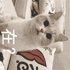 感觉自己萌萌哒外国版,感觉自己萌萌哒卖萌无罪