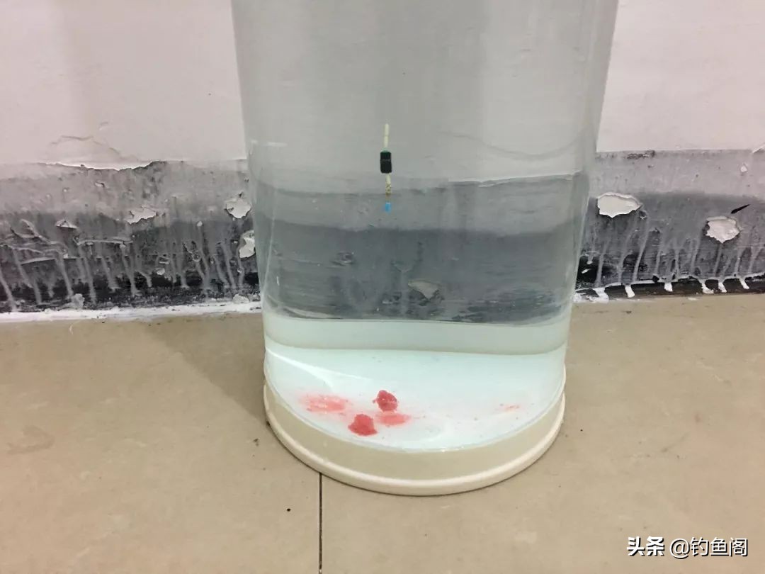 新手带钩调漂最简单方法,新手钓鲤鱼的最佳调漂方法