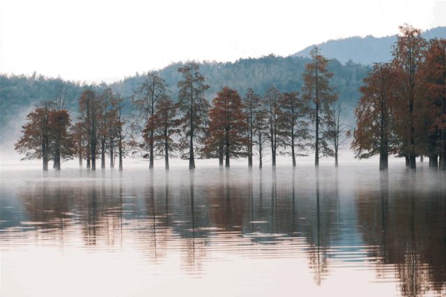 亲子游7天短期旅行必备物品,亲子旅行用品必备神器