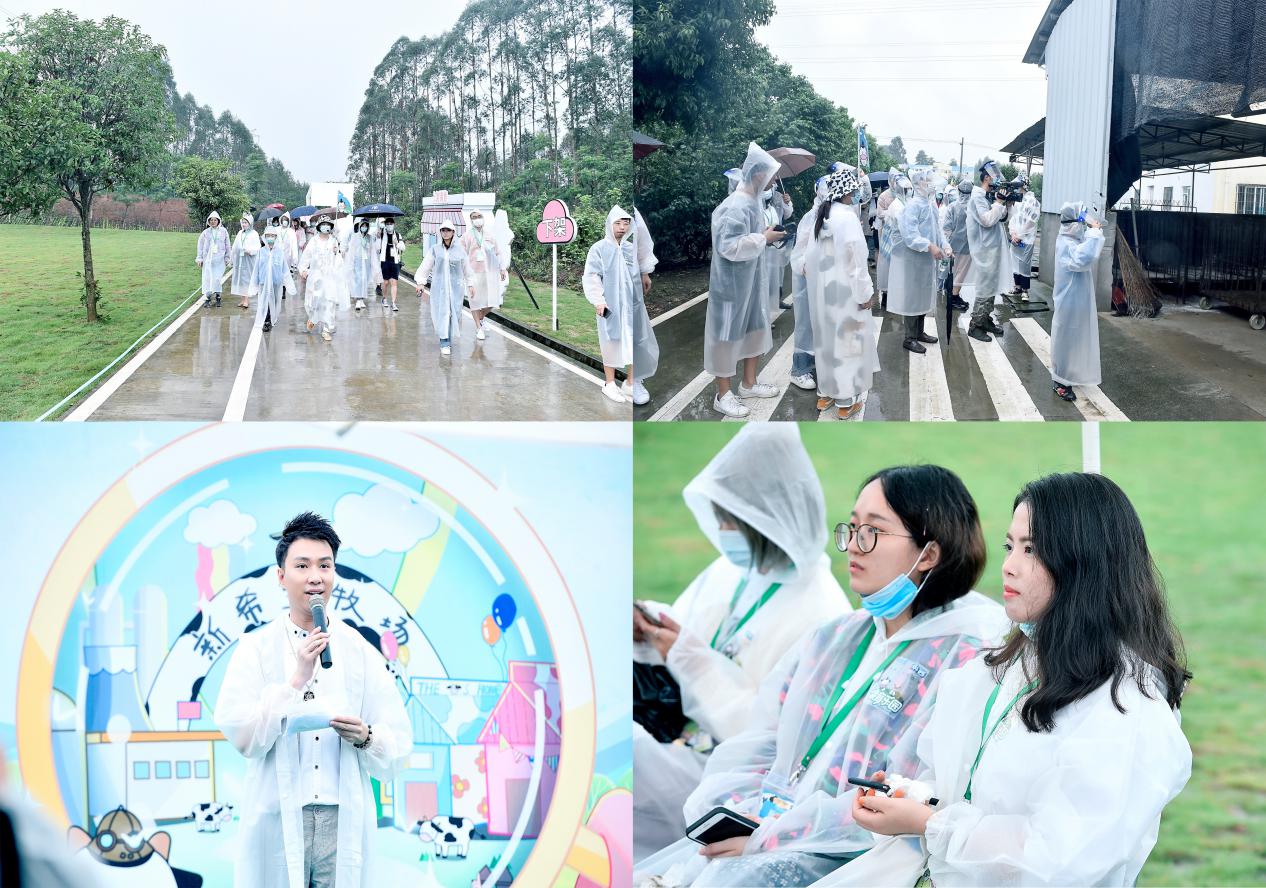 新希望华西牧场在哪里,新希望华西洪雅牧场直播间