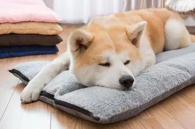 生理性脚臭喷雾,脚臭被人闻到很尴尬怎么办