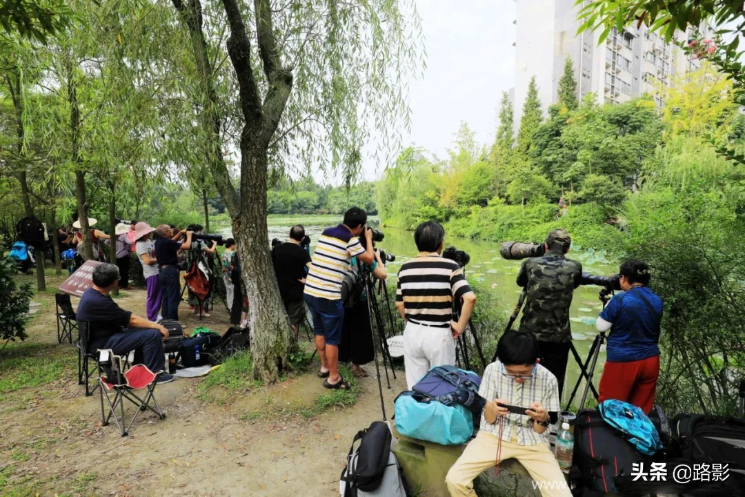 花重锦官城,花重锦官城长安