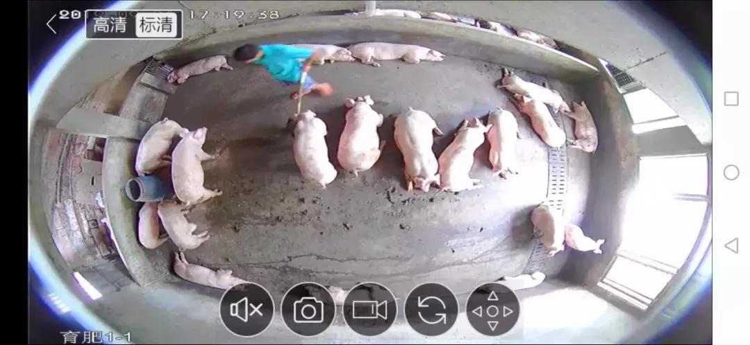 重磅政策出台利好创新药企,强化政策供给出实招稳就业