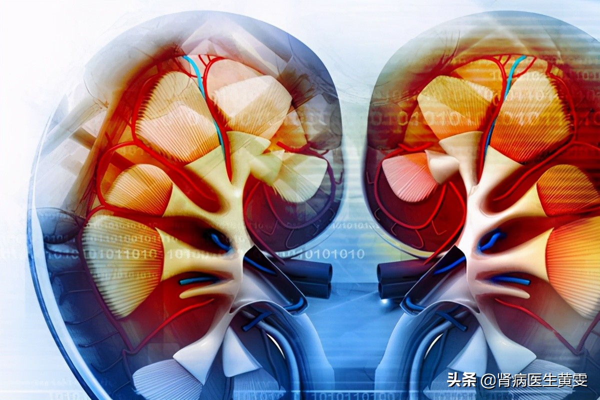 男子肾病没重视发生肾衰,为什么中西医结合治疗肾病效果好?