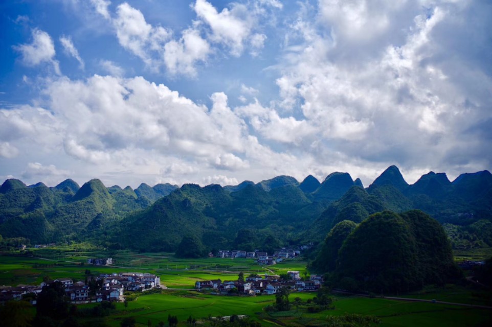 普洱茶的陈香是什么,普洱茶的陈香是什么香