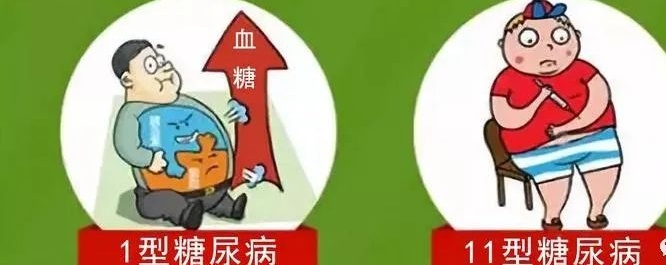 糖尿病一型和二型的区别在哪里,糖尿病1型和2型区别注意事项