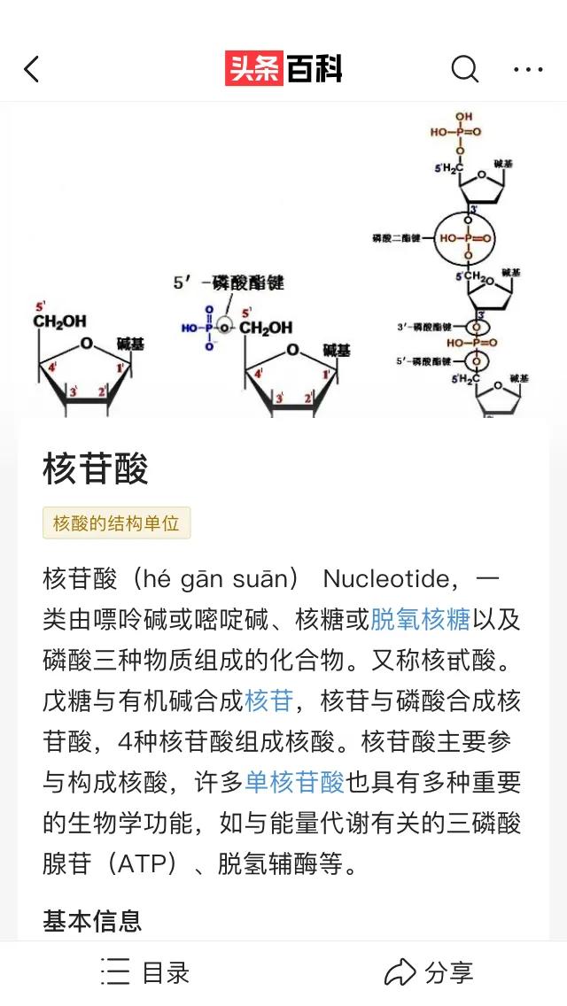 物种起源纪录片,物种的起源全文免费阅读