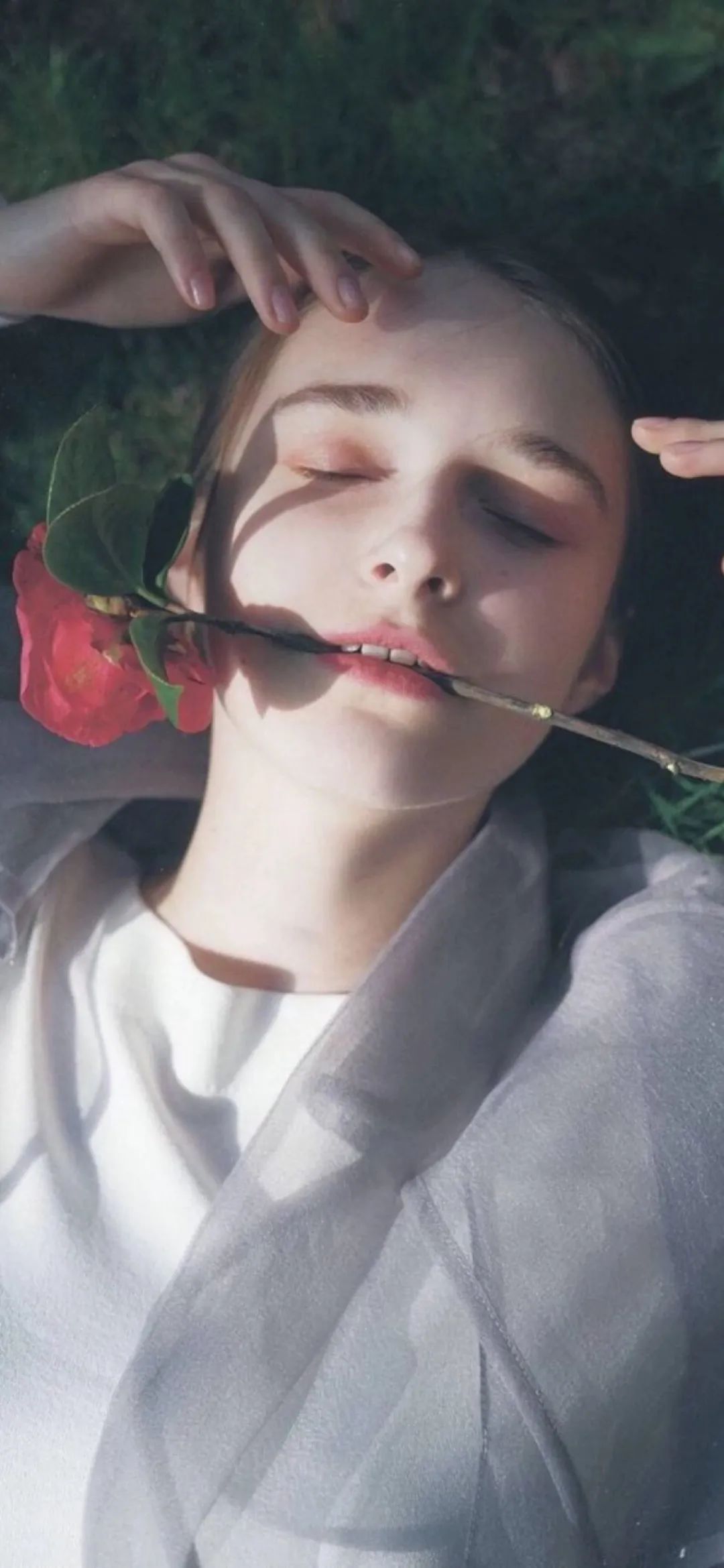 ins风真的很好吗,ins风到底是什么风格