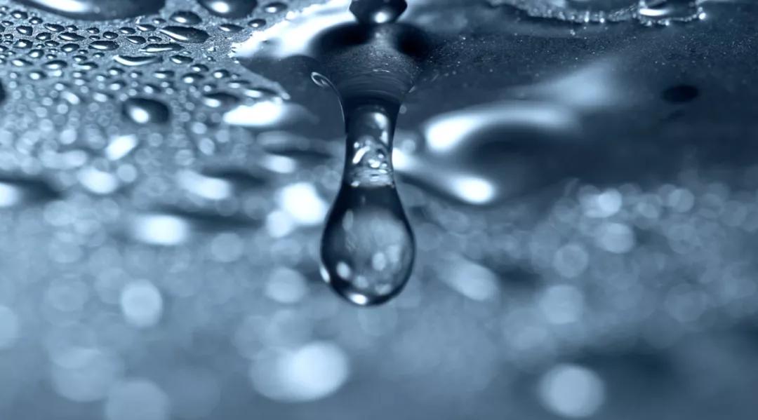 红星65度泡药用酒怎么样,红星甑流酒评测