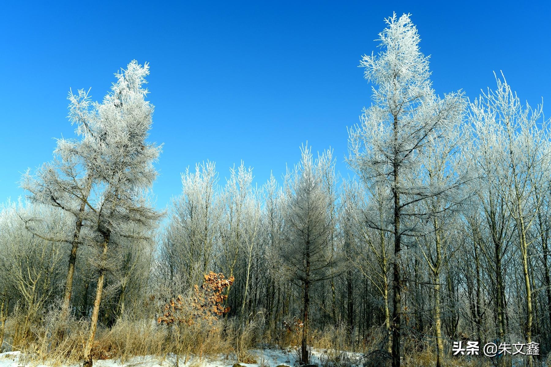 吉林柳河下雪,吉林省通化市柳河