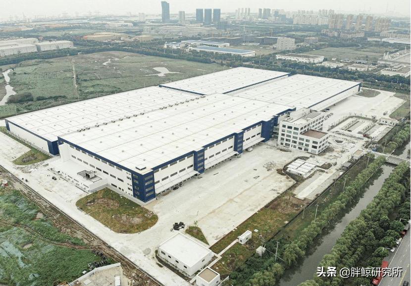 陈伟利斯凯奇,陈伟利斯凯奇最新消息