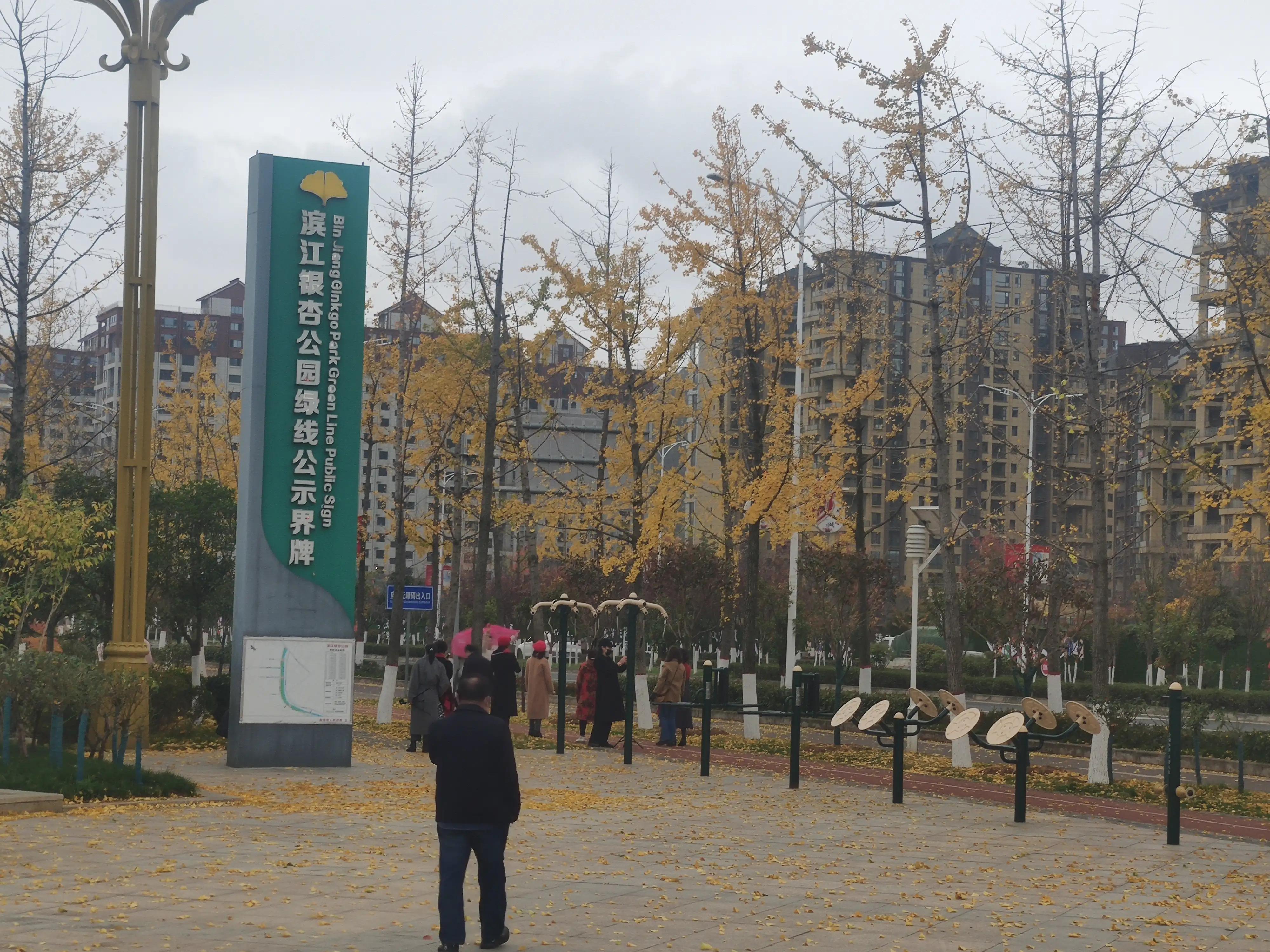 落叶西风,落叶西风知乎