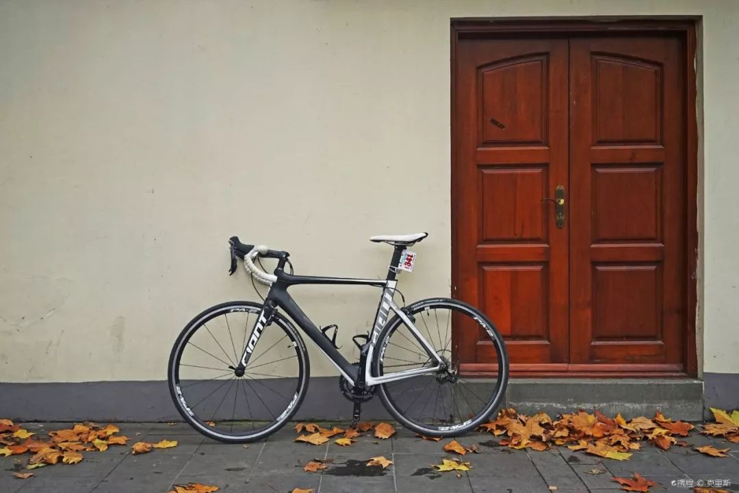 上海十大网红马路,魔都网红一条街