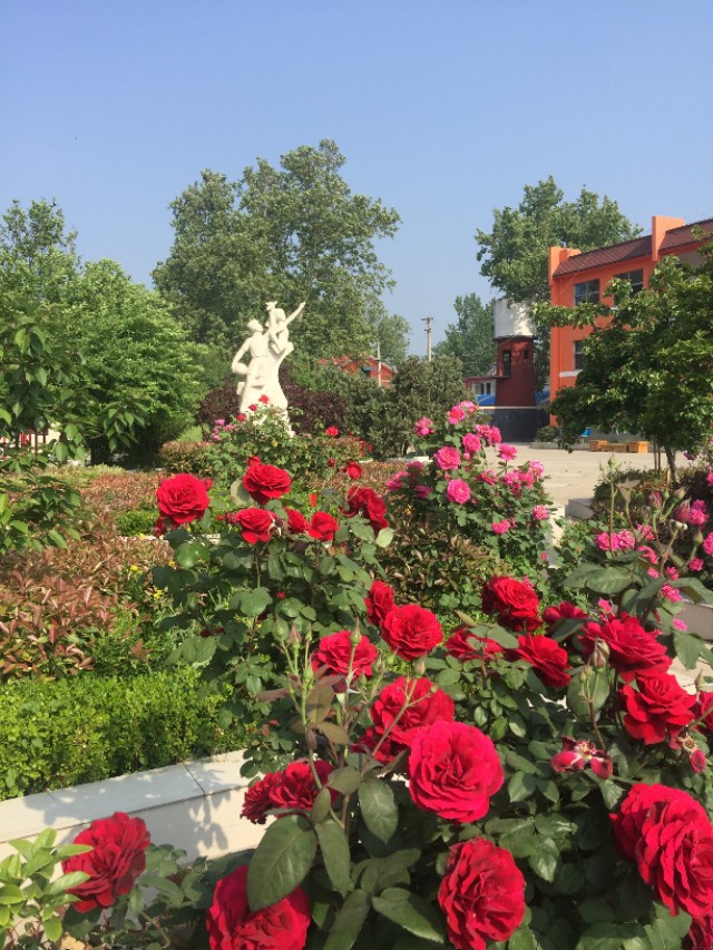 阳光学校为什么有规矩,阳光学校特色课