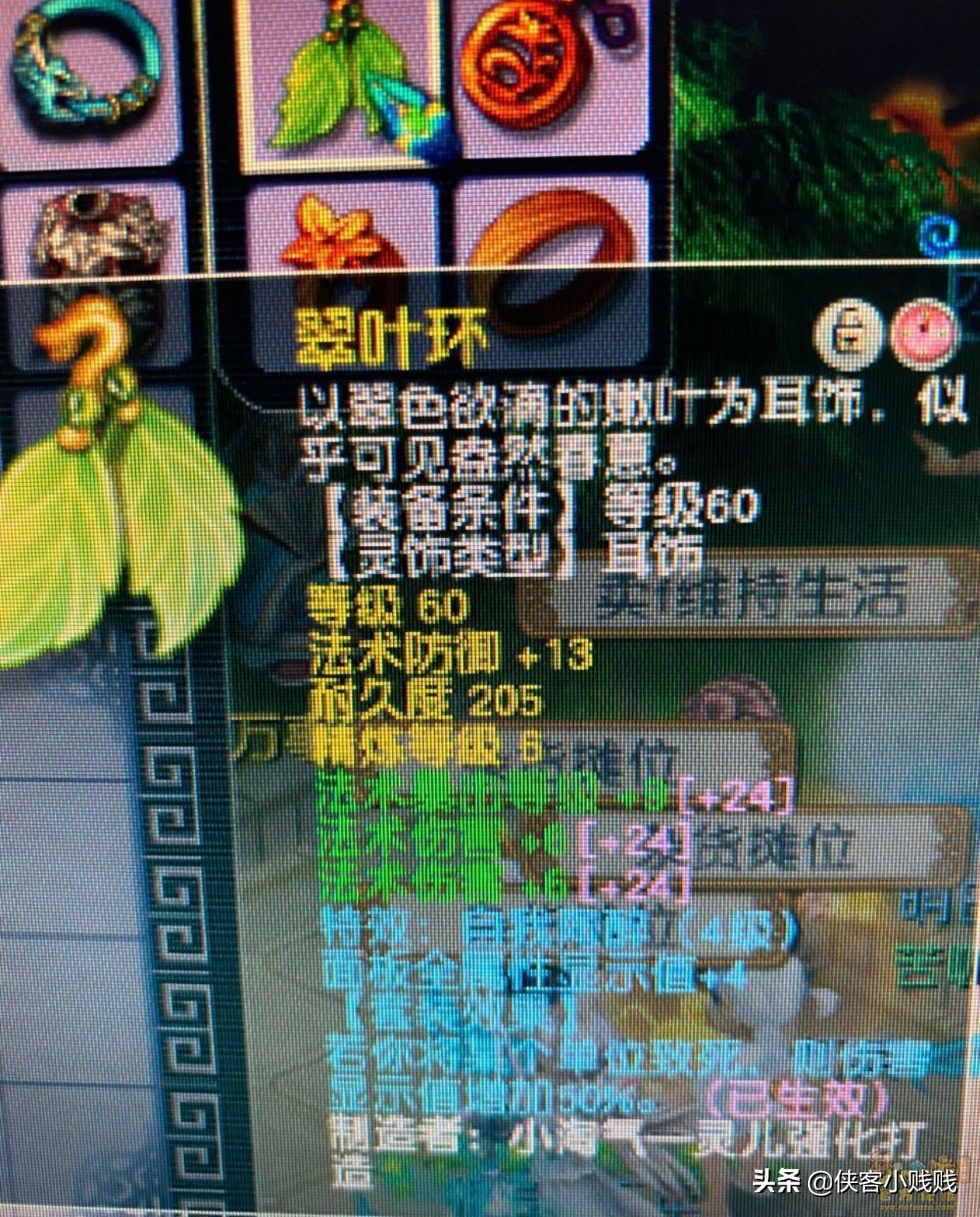 精锐组神木林展示,精锐神木林