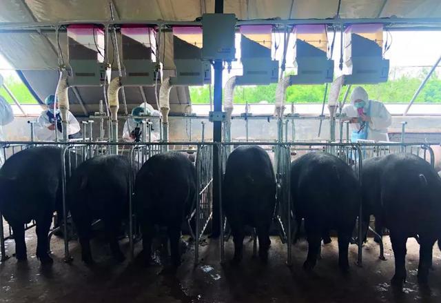 每周一篇深度的高质量的原创长文,万字长文吐血推荐