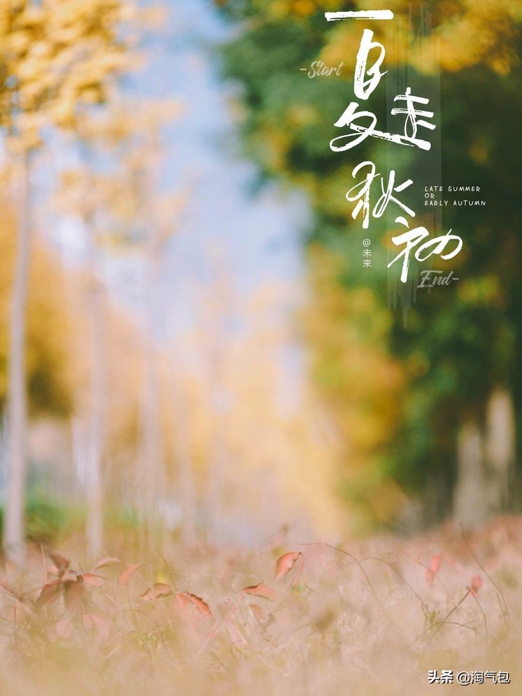 秋分愿生活恰如其分,人生恰如秋分生活恰如其分