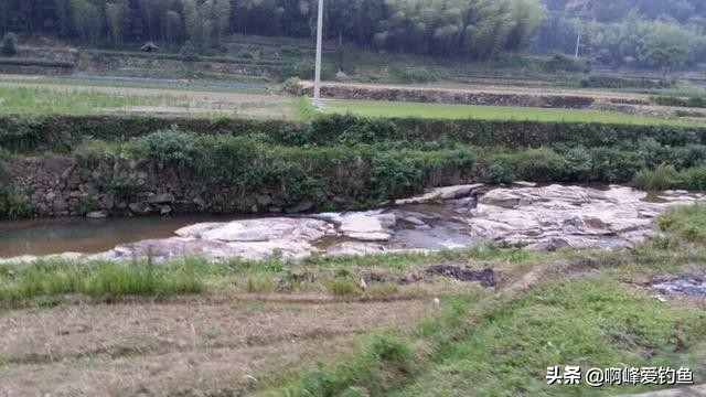 小溪垂钓野生溪鱼非常过瘾,福建农村小溪最常见的鱼