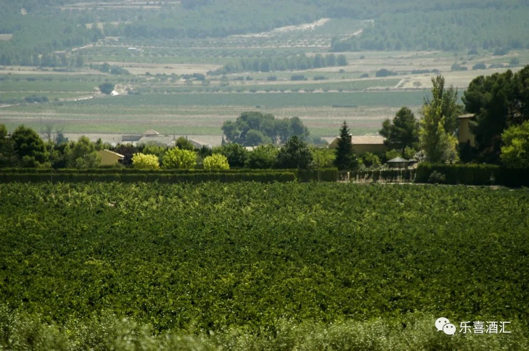 深圳乐喜酒汇社区共享酒窖连锁加盟面向全国|西班牙宝图庄葡萄酒