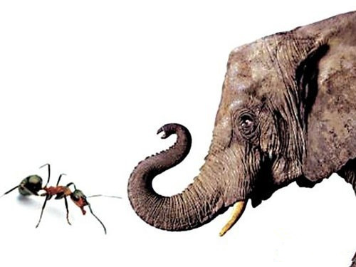 创业是条不归路说说,创业是条不归路的评论