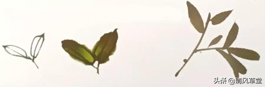 少儿国画花卉画法视频,各种花卉的100种画法