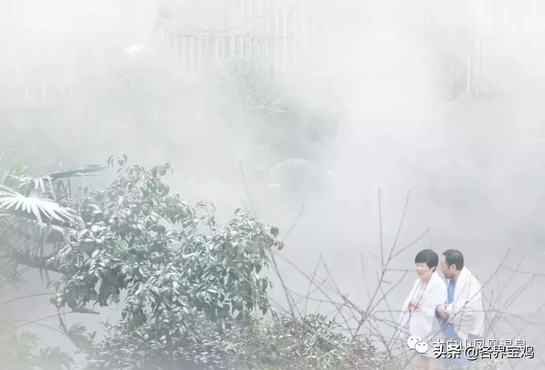 太白山凤凰温泉大巴,凤凰温泉旅游大巴