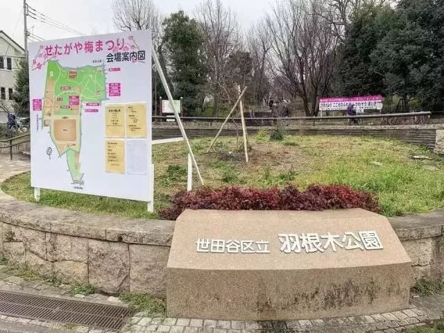 动刀抡锤，玩火涉水，这样的公园为何还能吸引那么多父母？