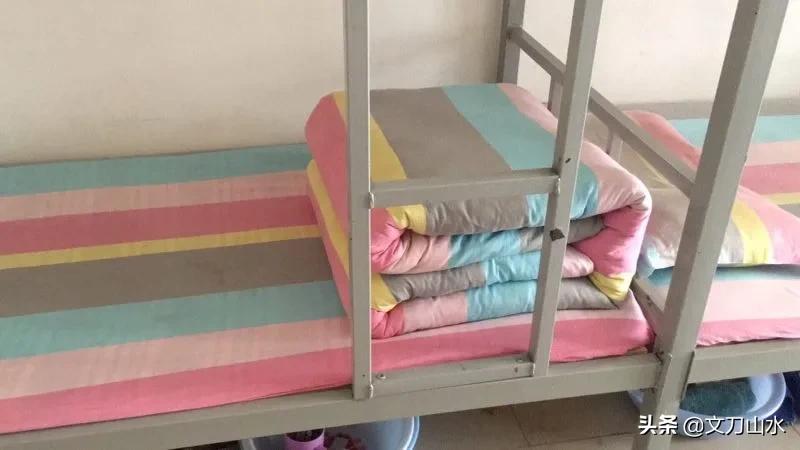 郑州市小升初民办学校报名人数,郑州小升初2019民办初中招生计划