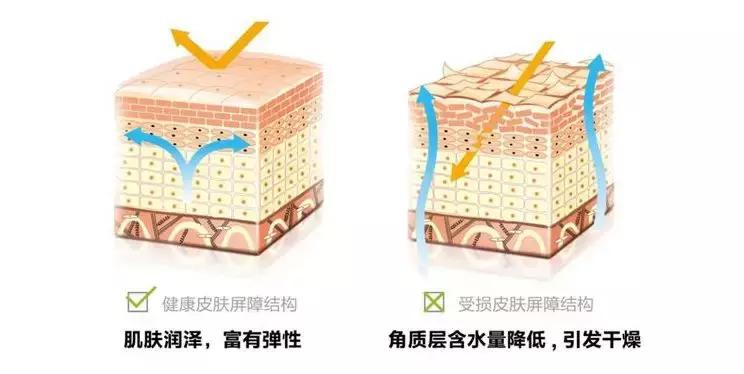 测评注氧仪视频,评测注氧仪第一名