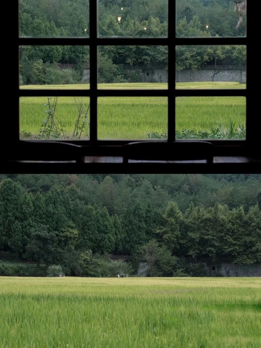 浙江特色美食小吃推荐,浙江特色美食小吃排行榜