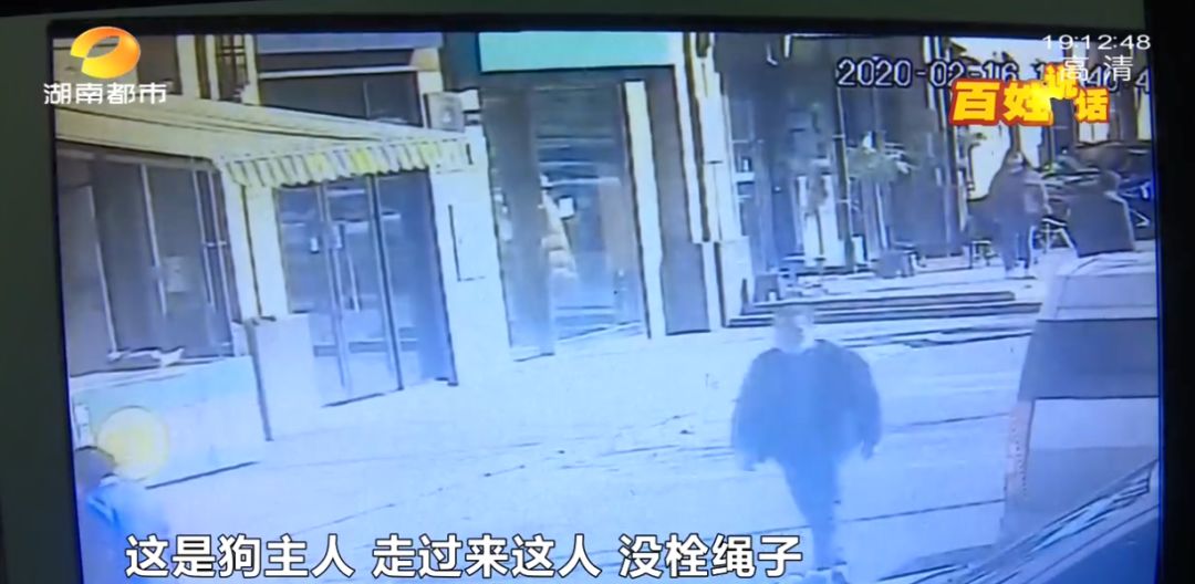 湖南大型犬追赶小孩外婆护住摔倒,白衣男子上前踹大型犬致老人摔倒