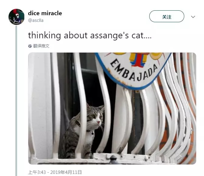 阿桑奇：好奇的眼睛绝不会干涸