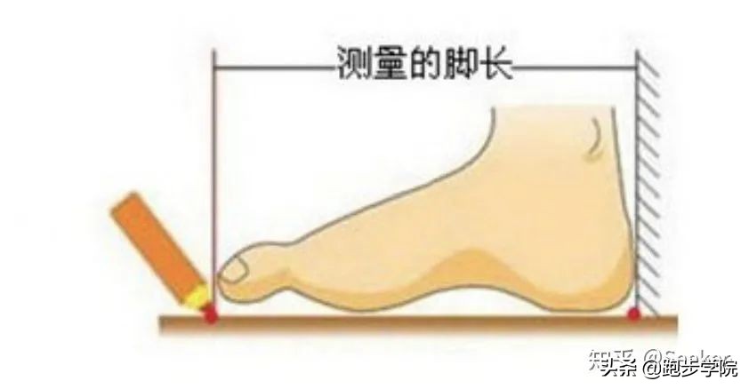 适合跑马的跑鞋推荐,跑马4小时配速多少