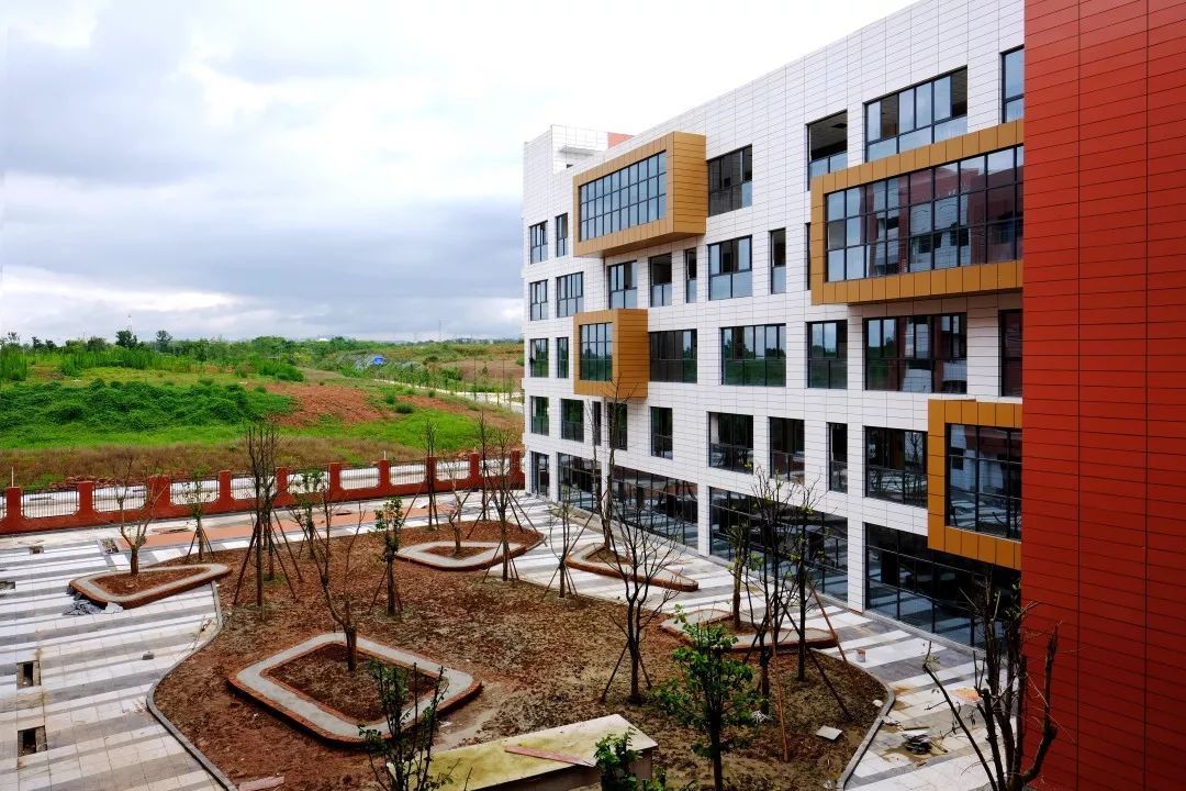 锐理:新川的“后劲”有多大?