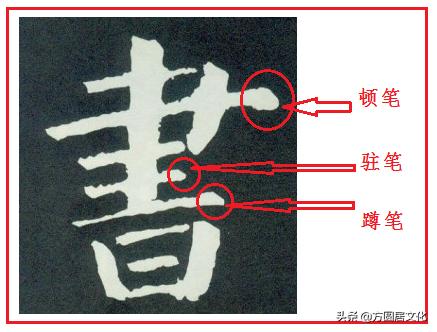 顿笔横竖撇捺,顿笔和蹲笔区别