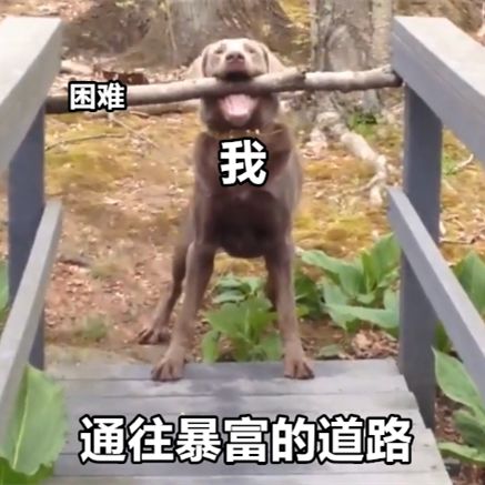 网贷太多被银行拒贷多久能恢复,很缺钱网贷又总被拒咋办