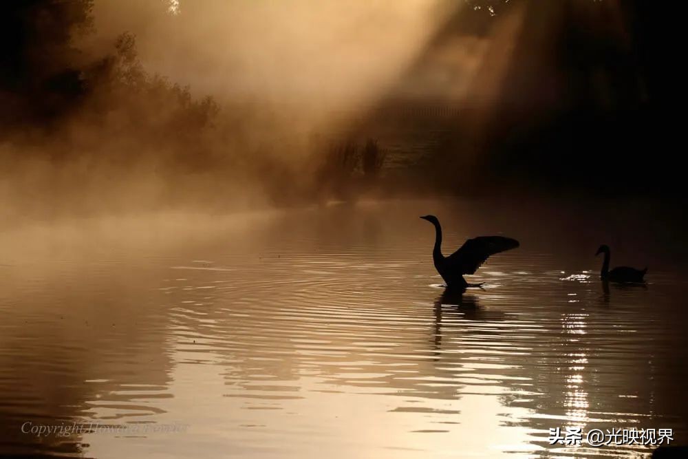 捕捉瞬间摄影,捕捉精彩瞬间定格最美一刻